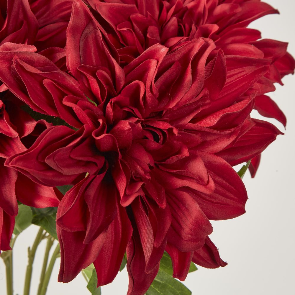 Red Dahlia Bush X 5