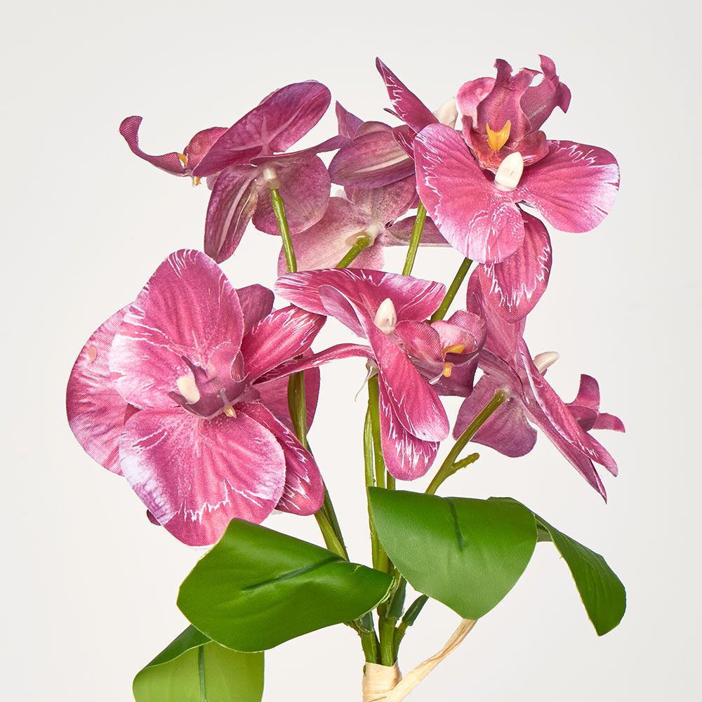 Fuchisa Pink Phalaenopsis Orchid Bouquet X 4 8 Flowers