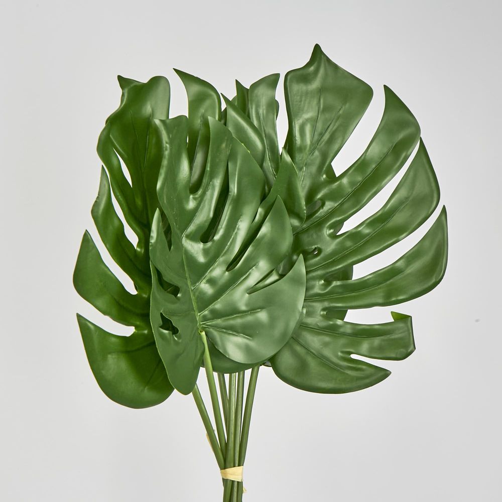 Monstera Leaf Bundle 2 Sizes 6Pc