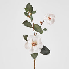 Magnolia Spray 84Cm White