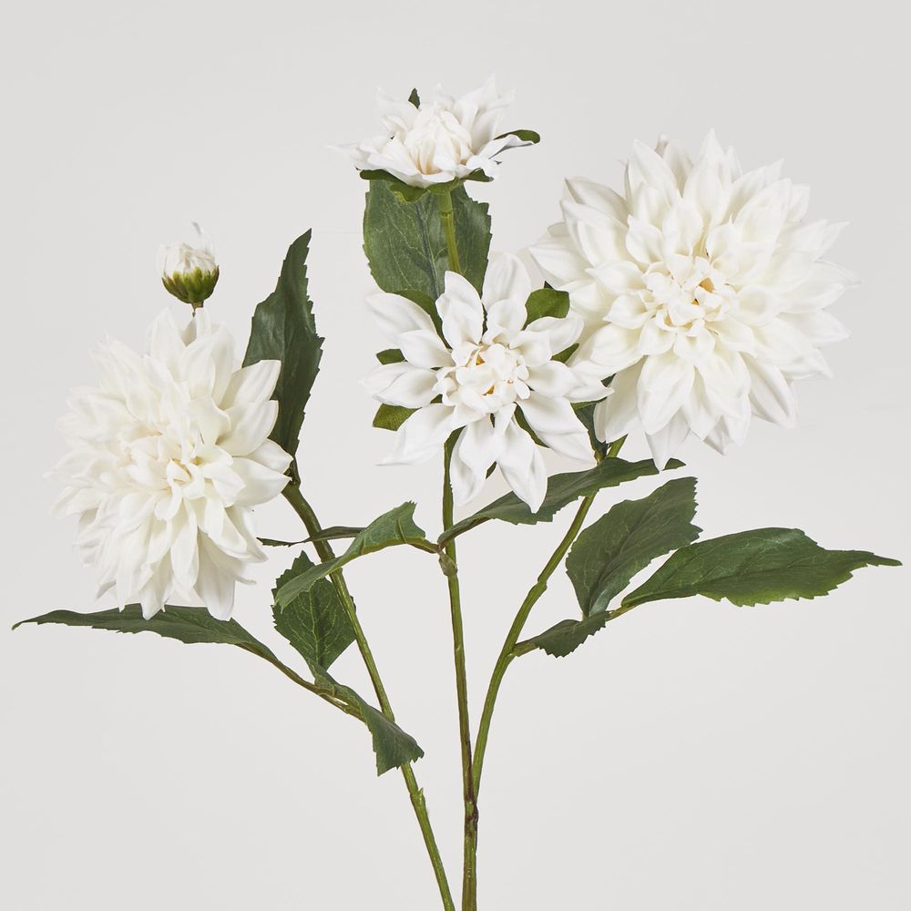 Dahlia Spray 70Cm White