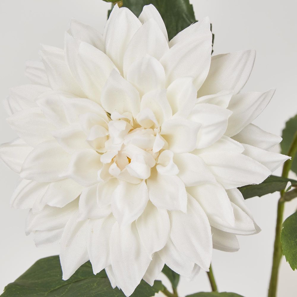 Dahlia Spray 70Cm White