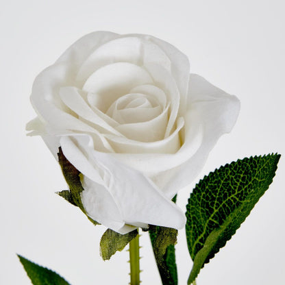 White Velvet Valentines Rose Bud