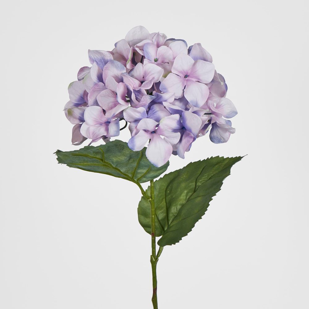 68Cm Lilac Domed Hydrangea