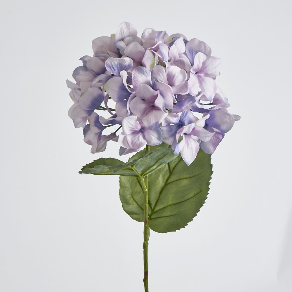 68Cm Lilac Domed Hydrangea