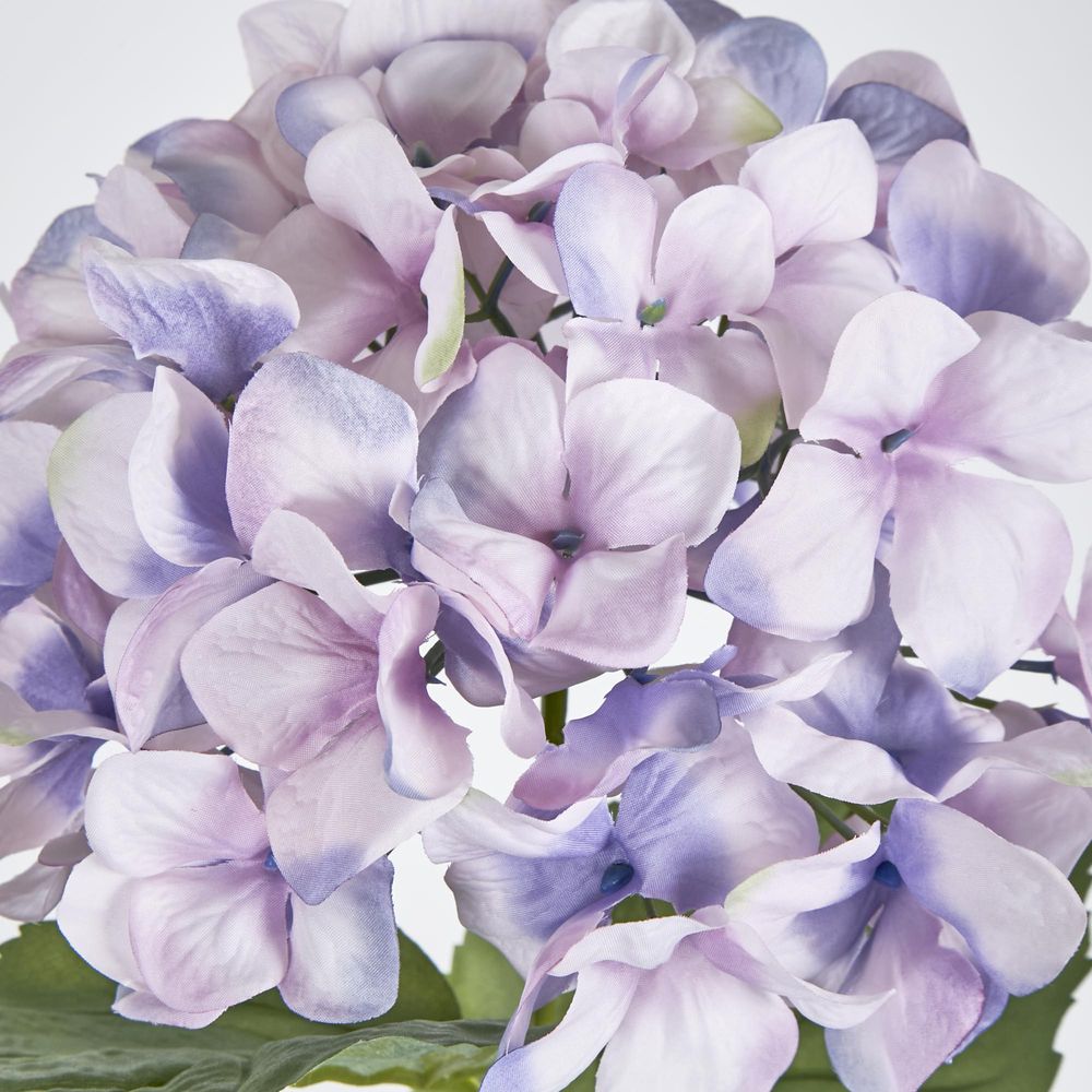 68Cm Lilac Domed Hydrangea