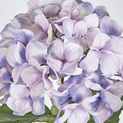 68Cm Lilac Domed Hydrangea