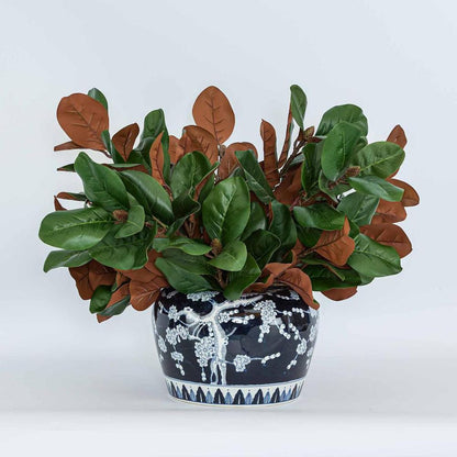 Southern Magnolia Branch With 30 Leaves