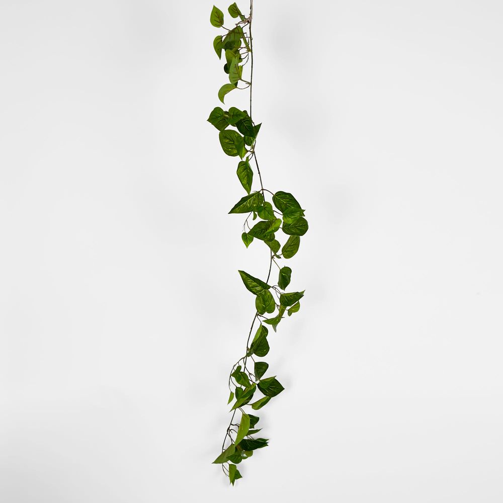 5Ft Green Pothos Garland Uv Protected