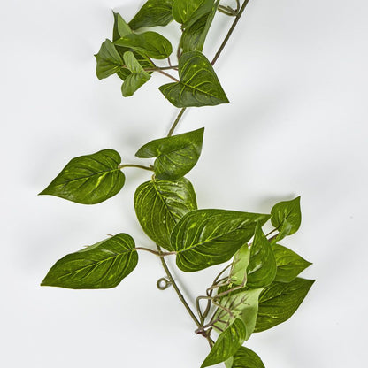 5Ft Green Pothos Garland Uv Protected