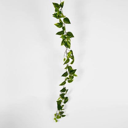 5Ft Green Yellow Pothos Garland Uv Protected