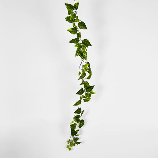 5Ft Green Yellow Pothos Garland Uv Protected