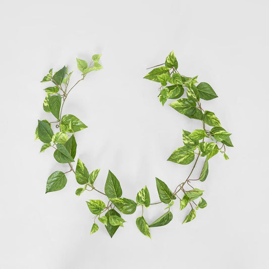 5Ft Green Yellow Pothos Garland Uv Protected