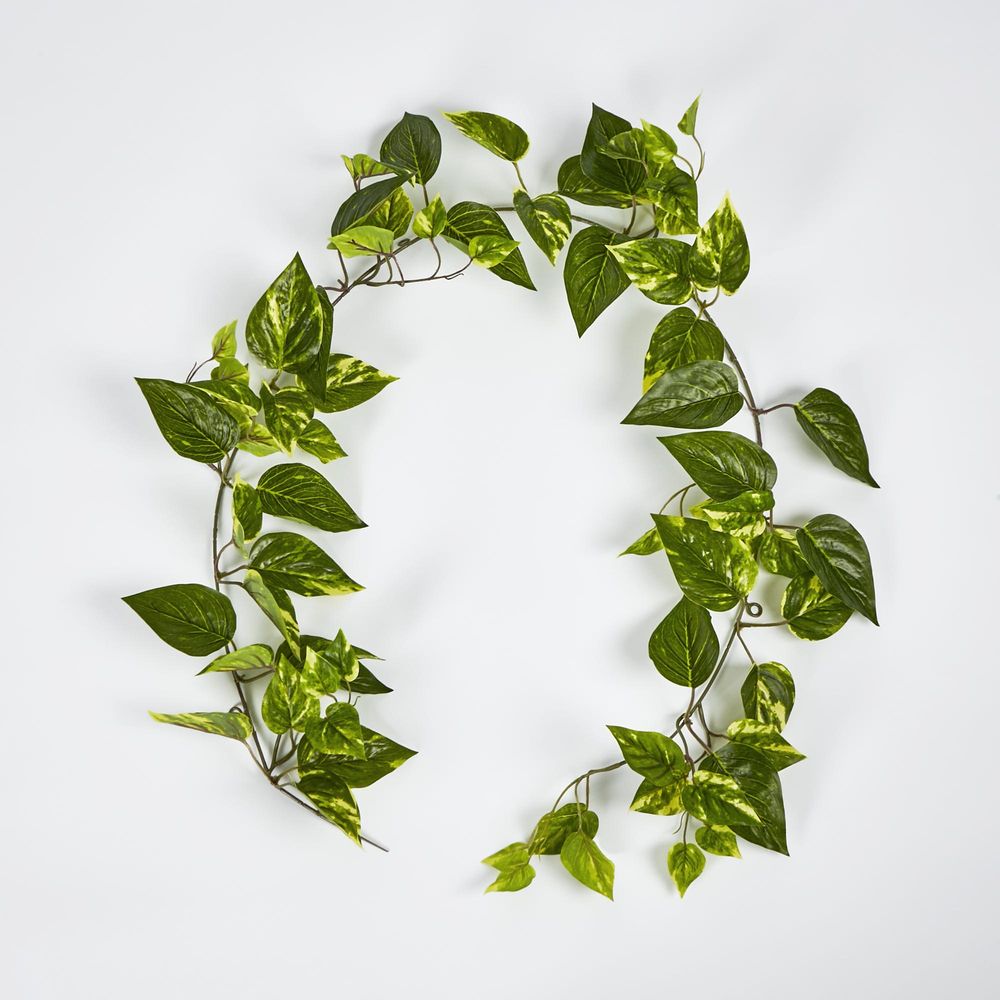 5Ft Green Yellow Pothos Garland Uv Protected