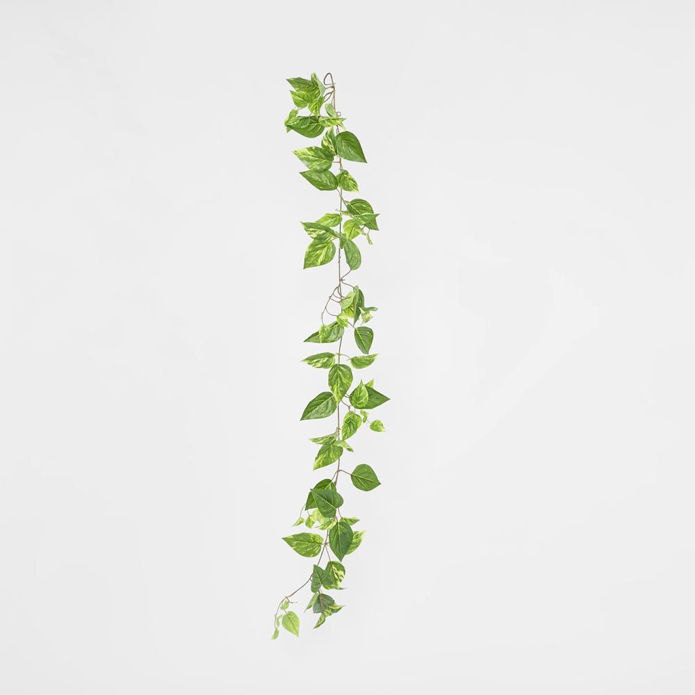 5Ft Green Yellow Pothos Garland Uv Protected