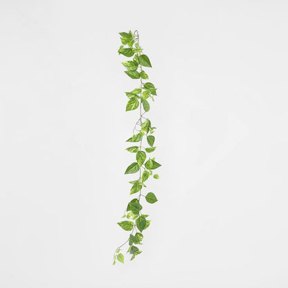 5Ft Green Yellow Pothos Garland Uv Protected