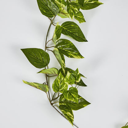 5Ft Green Yellow Pothos Garland Uv Protected