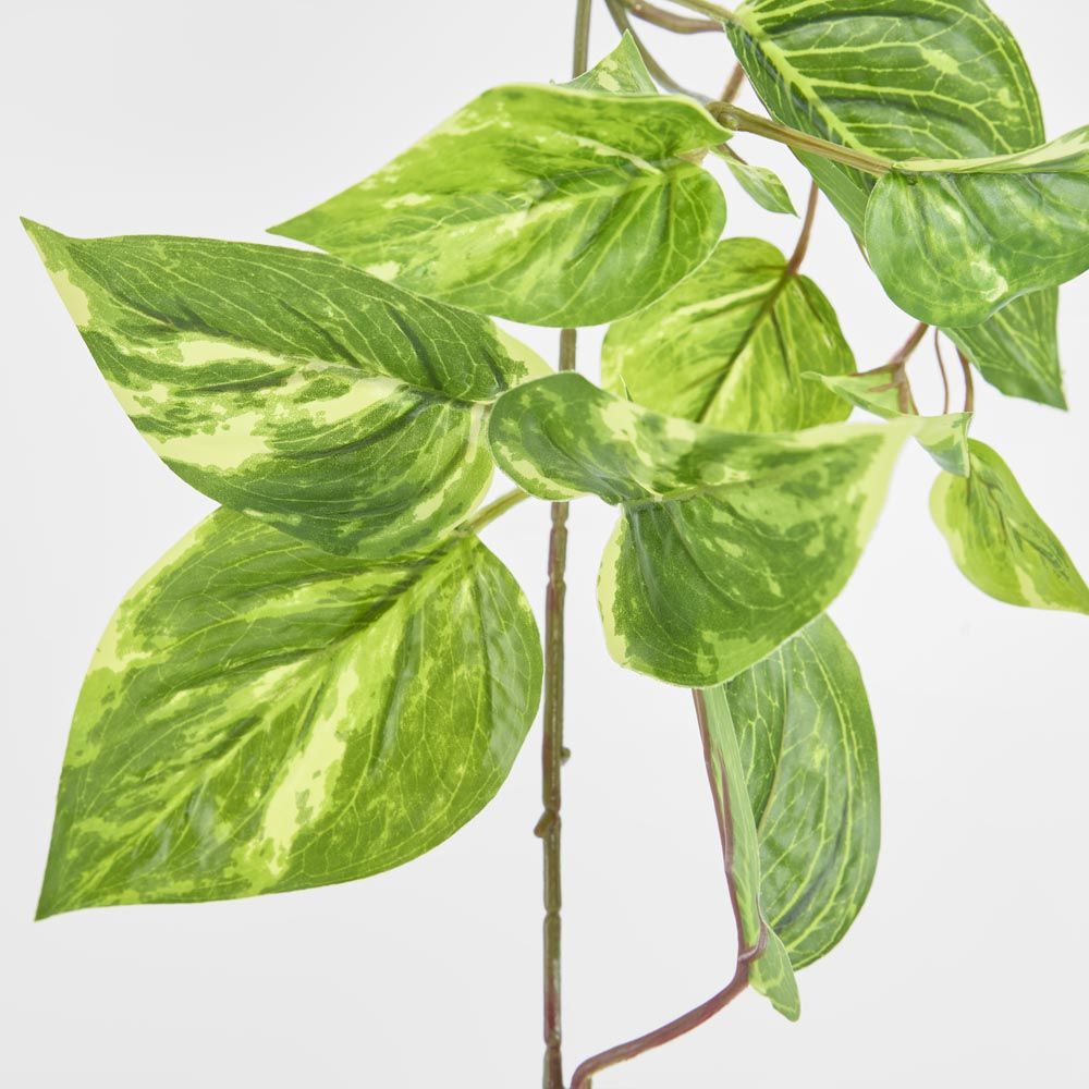 5Ft Green Yellow Pothos Garland Uv Protected
