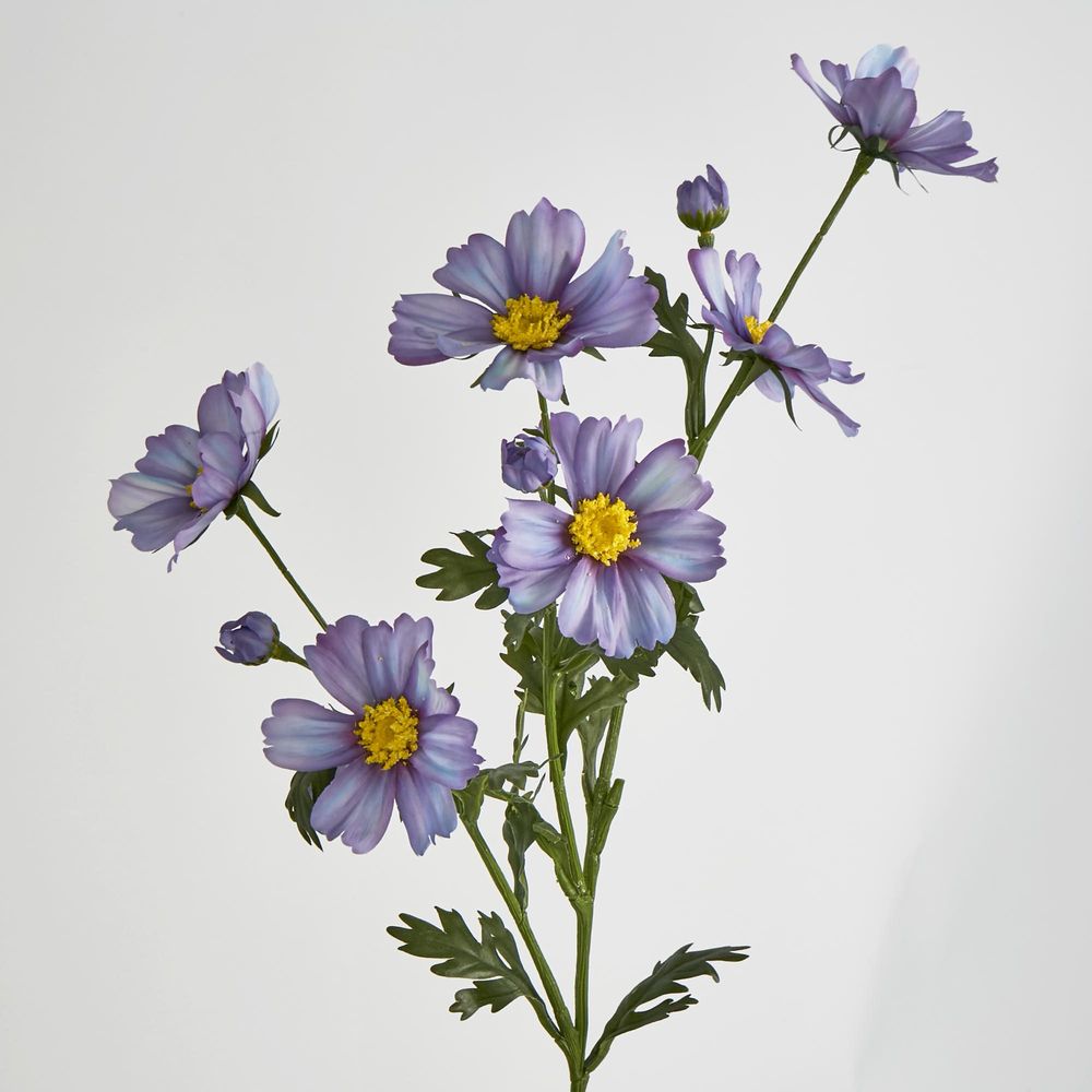 Light Purple Cosmos Spray By 3