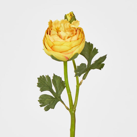 Ranunculus & Bud