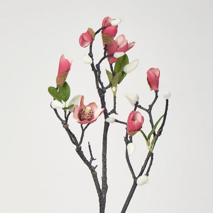 Magnolia Bud Branch