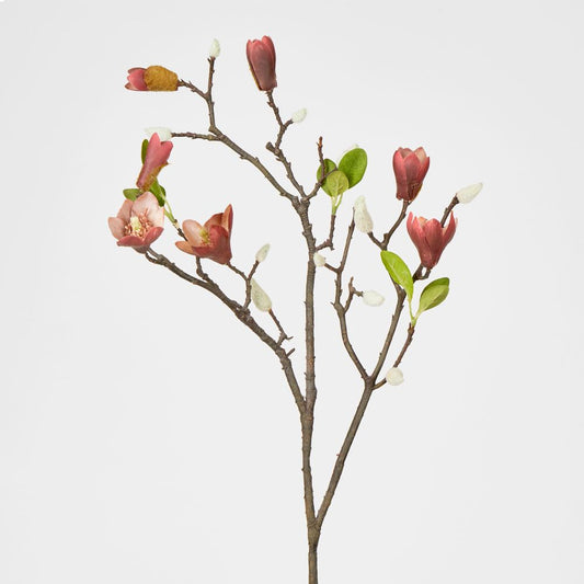 Magnolia Bud Branch