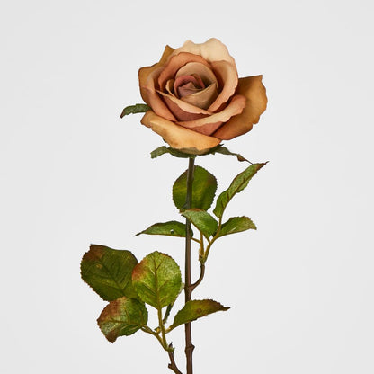 Long Stem Rose Capaccino