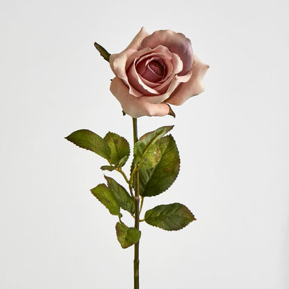 Long Stem Dusty Pastel Pink Rose