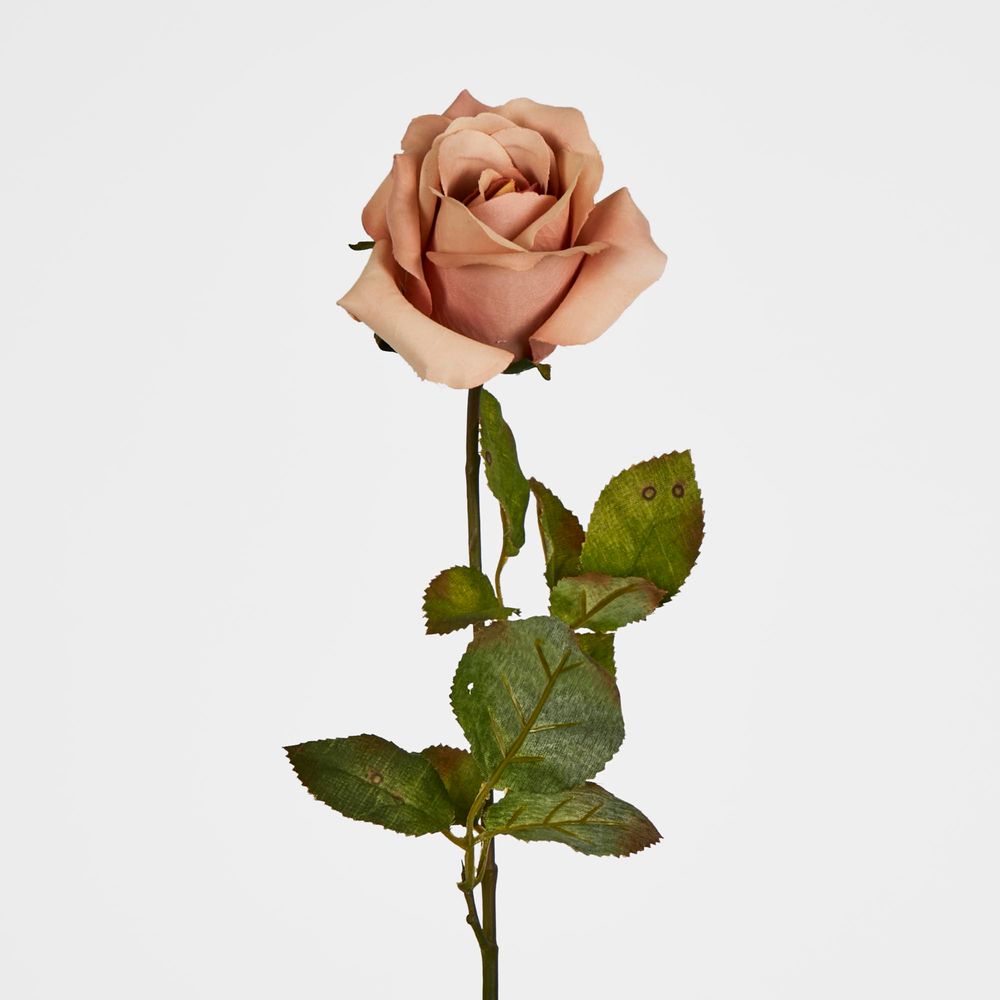 Long Stem Rose Flesh Pink