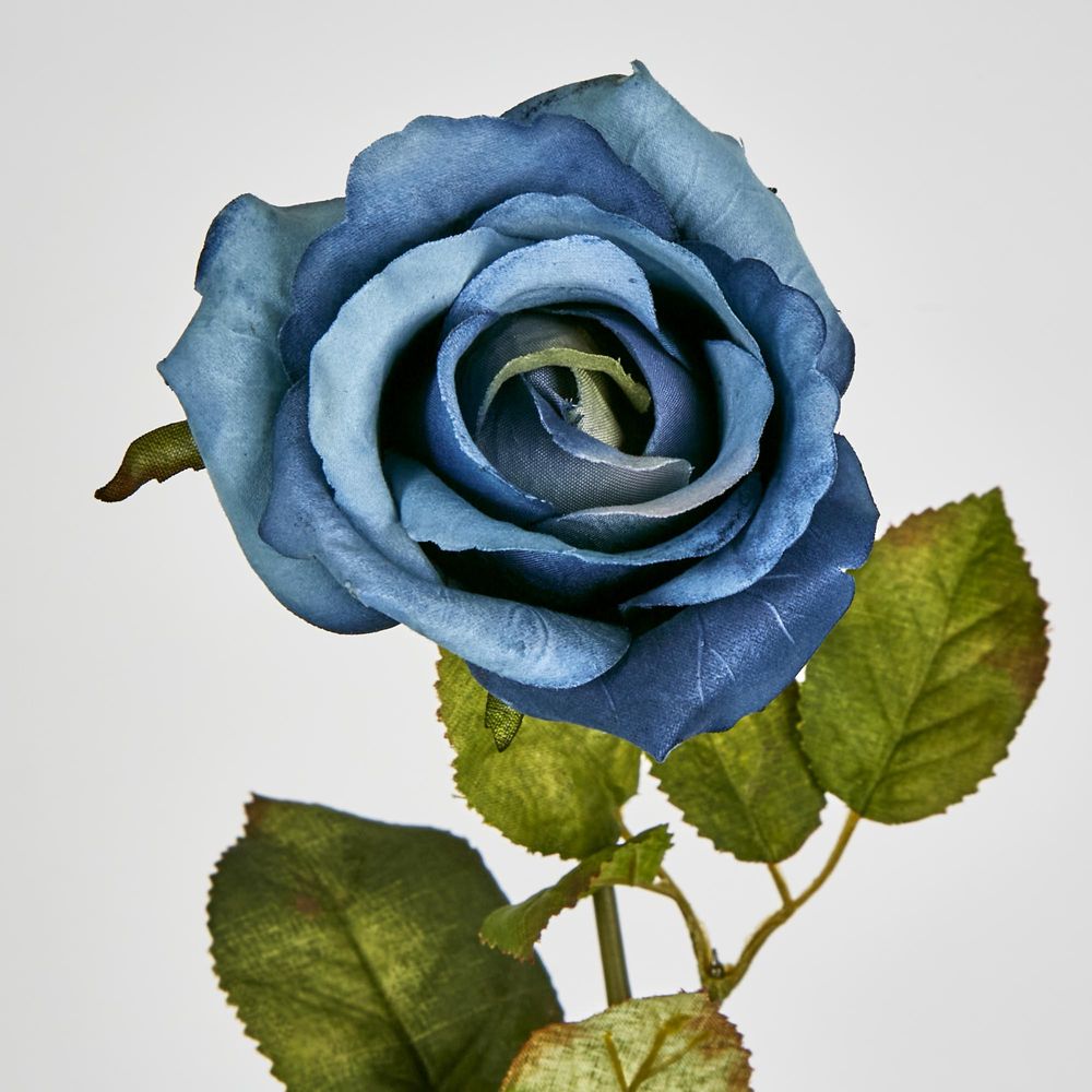 Long Stem Rose Blue