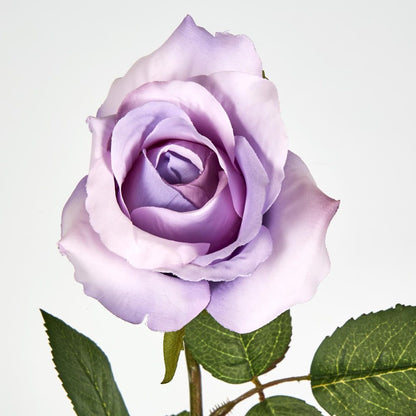 Long Stem Rose Purple