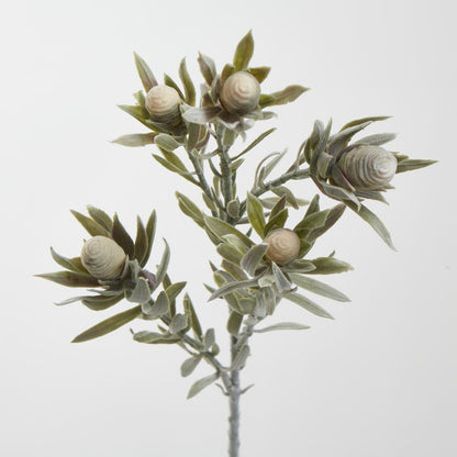 Protea Spray Dark Green Leaves 77Cm Cream