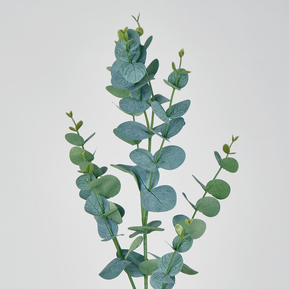 Eucalyptus Spray 97Cm