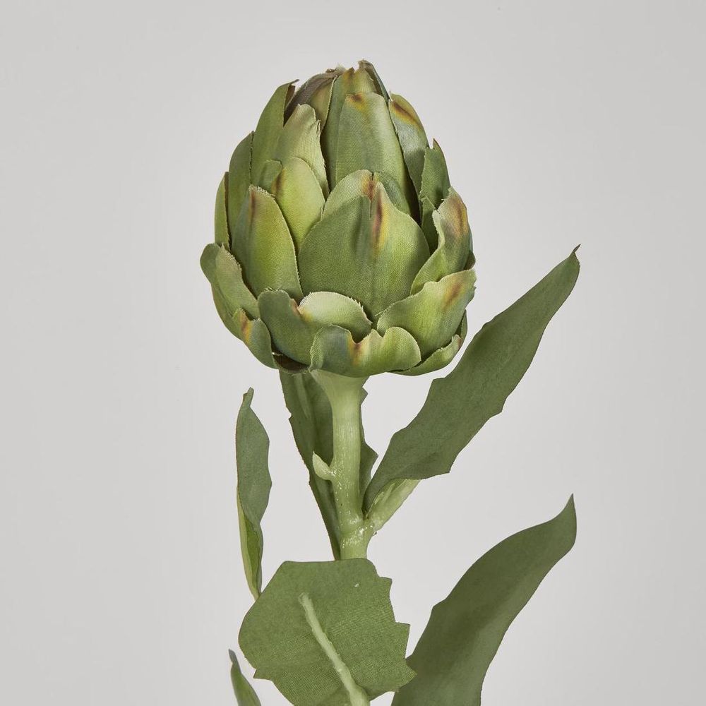 单株洋蓟绿58Cm