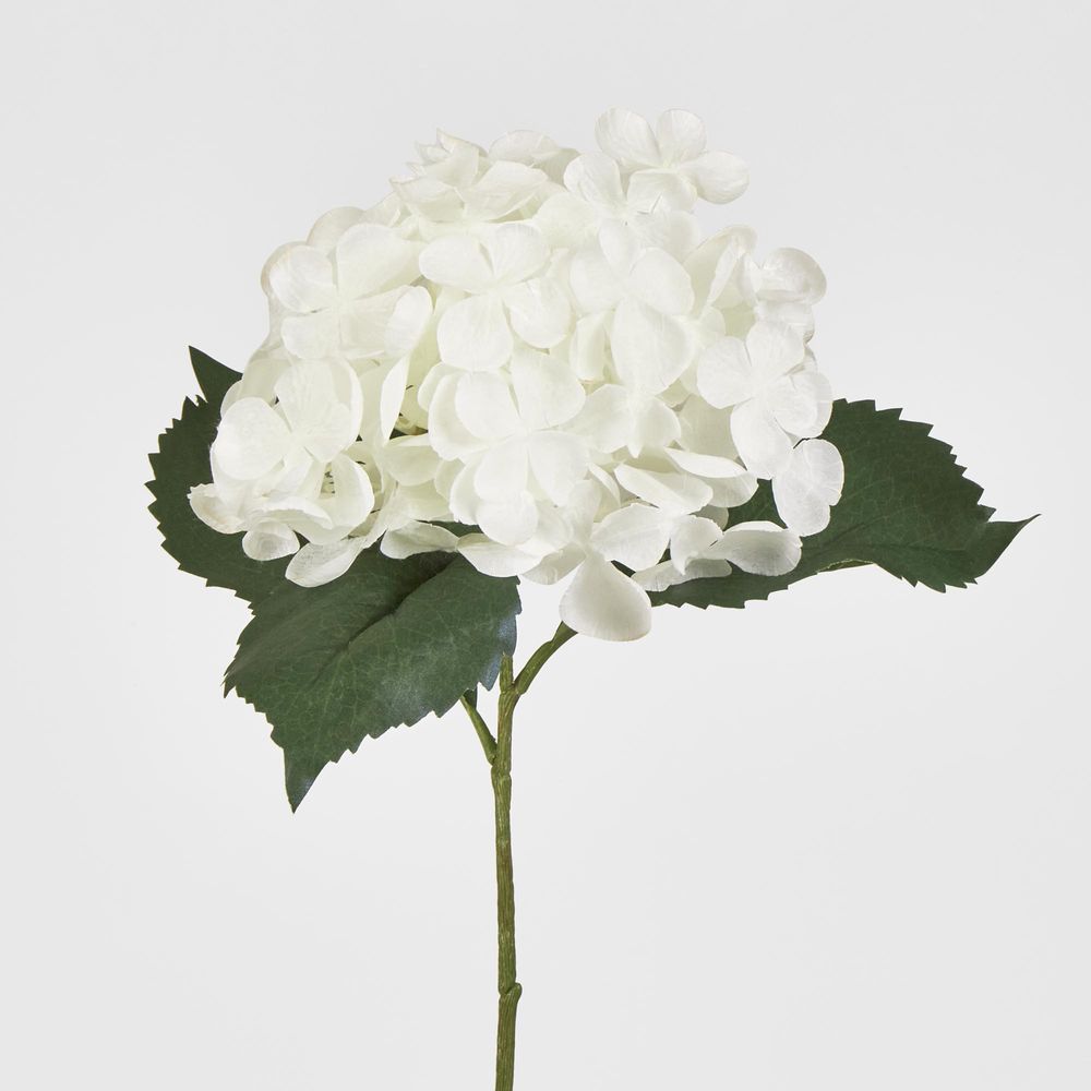 Single Hydrangea With 2 Leaves White 62Cm