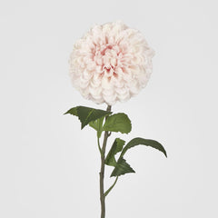 Single Ball Dahlia 74Cm Light Pink