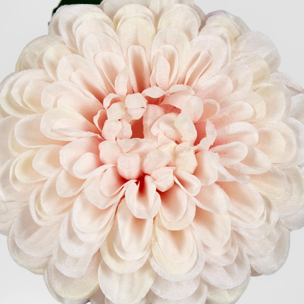 Single Ball Dahlia 74Cm Light Pink