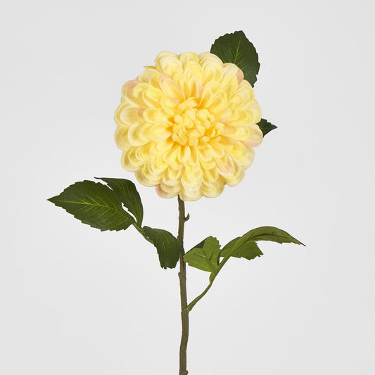 Single Ball Dahlia 74Cm Yellow