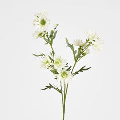 Daisy Spray 74Cm White