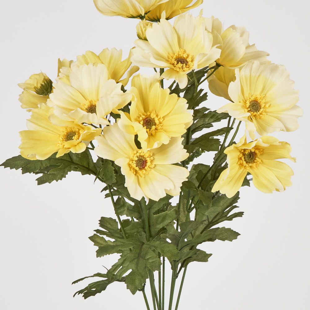 Cosmos Bush 48Cm Yellow