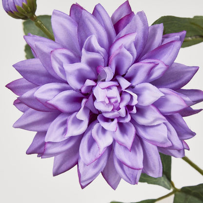 Dahlia Spray 70Cm Purple