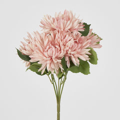 Pink Mum Bush X 5 46Cm