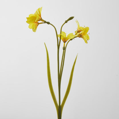 Yellow Daffodil Spray 50Cm