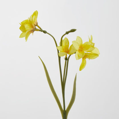 Yellow Daffodil Spray 50Cm