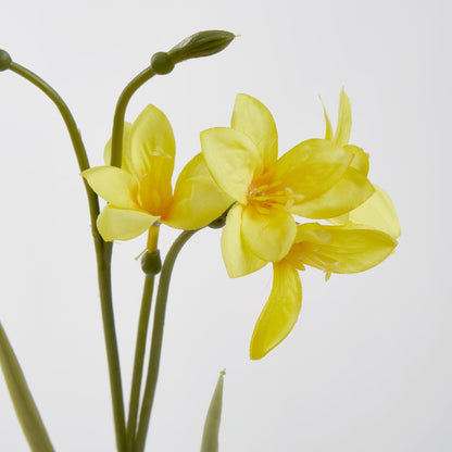 Yellow Daffodil Spray 50Cm