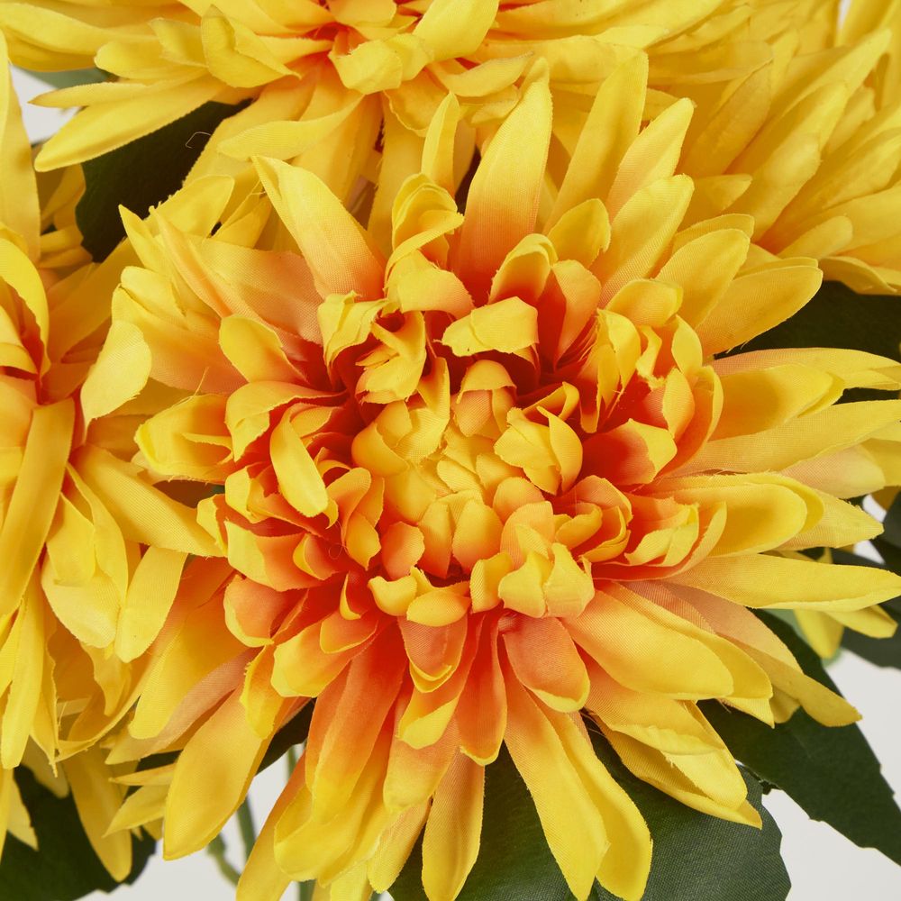 Yellow Mum Bush X 5 46Cm