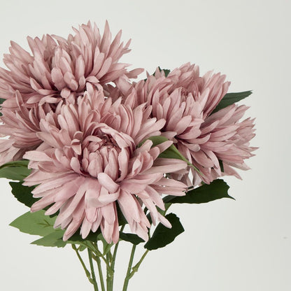 Dusty Pink Mum Bush X 5 46Cm