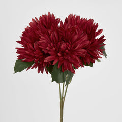 Burgundy Red Mum Bush X 5 46Cm