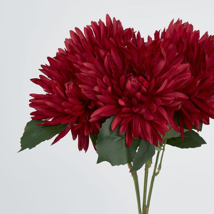 Burgundy Red Mum Bush X 5 46Cm