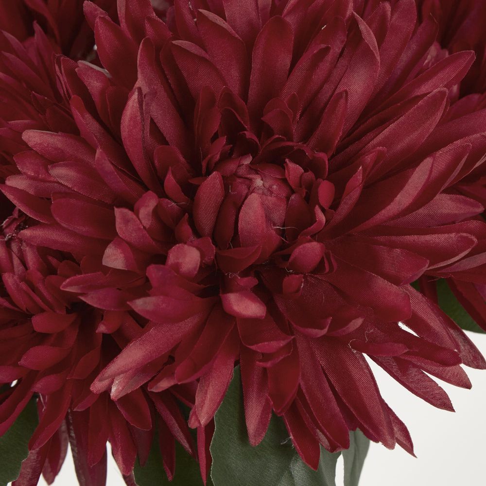 Burgundy Red Mum Bush X 5 46Cm